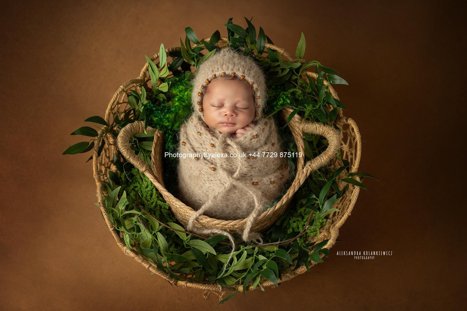 New Born Photoshoot